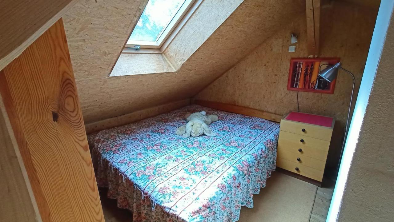 靠近捷克布杰约维采的多德里贝山林小屋 多乌德莱比 外观 照片